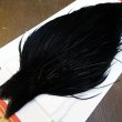 画像3: 【Whiting】ROOSTER CAPE Pro Grade - DYED BLACK No.2 (3)