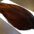 画像4: 【WHITING】High & Dry ROOSTER Cape - Dyed Coachman Brown No.2 (4)