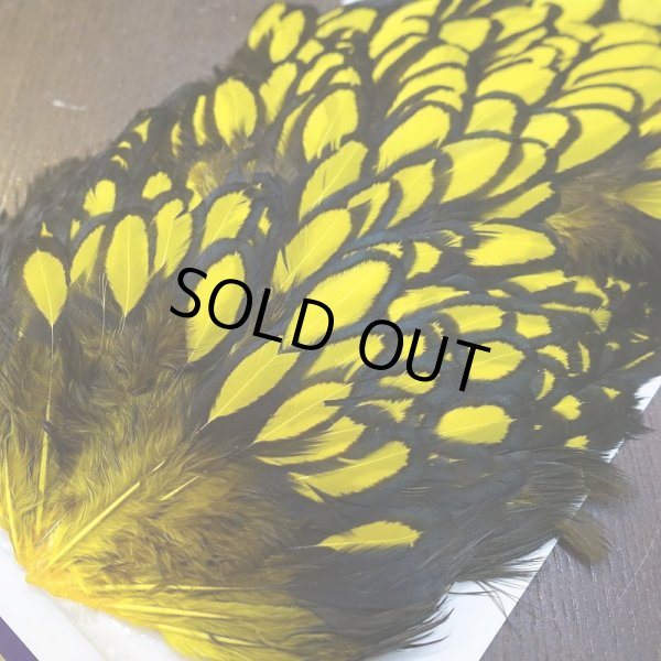 画像2: 【WHITING】American Hen Saddle BLW/YELLOW (2)