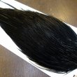 画像4: 【WHITING】Hebert Bronze Grade Cape DyedBlack No.2 (4)