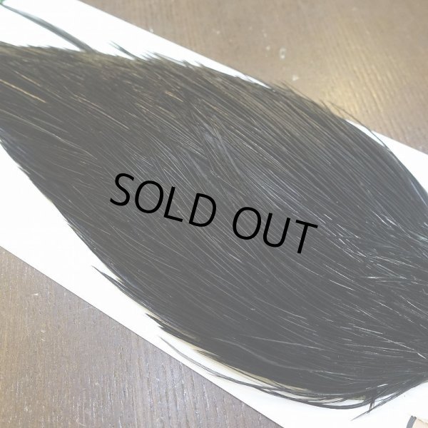 画像4: 【WHITING】Hebert Bronze Grade Cape DyedBlack No.2 (4)