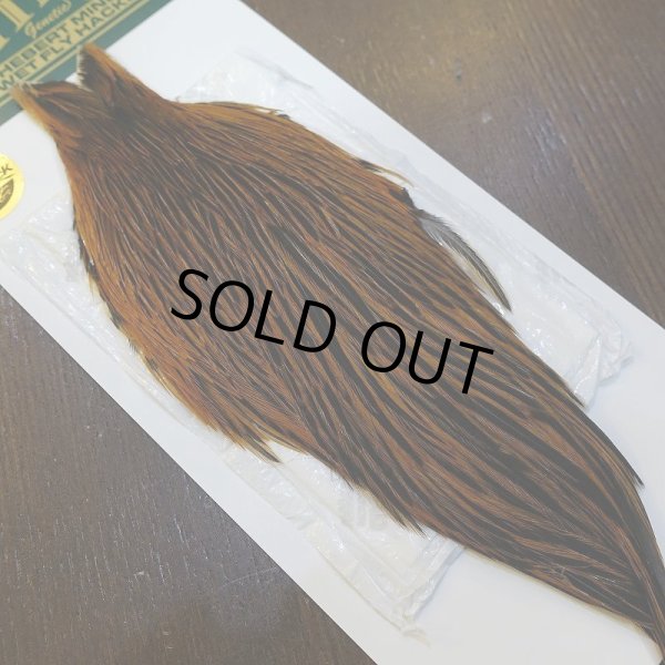 画像2: 【WHITING】Hebert Hen Cape - GREENWELL (2)