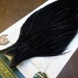 画像3: 【WHITING】Hebert Bronze Grade Cape DyedBlack No.3 (3)