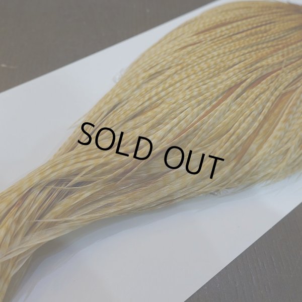 画像5: 【WHITING】High & Dry ROOSTER Cape - Barred Medium Ginger No.1 (5)