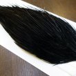 画像4: 【WHITING】Hebert Bronze Grade Cape DyedBlack No.3 (4)