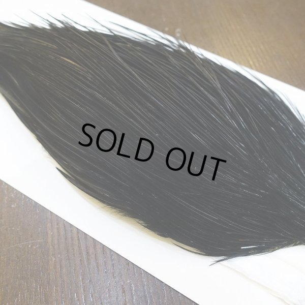 画像4: 【WHITING】Hebert Bronze Grade Cape DyedBlack No.3 (4)