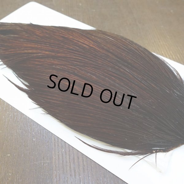 画像4: 【WHITING】High & Dry ROOSTER Cape - Dyed Coachman Brown No.1 (4)