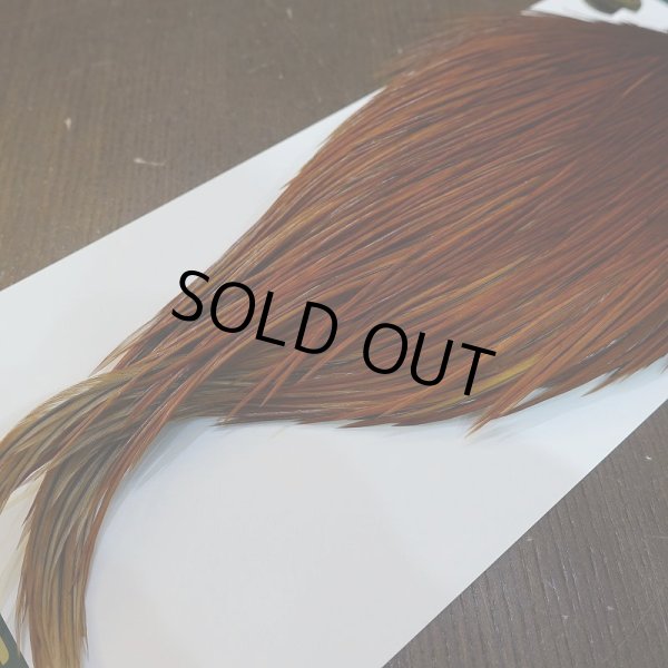 画像5: 【WHITING】Hebert ROOSTER CAPE Bronze Grade - Medium Brown No.1 (5)