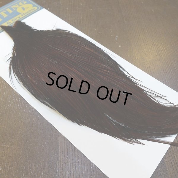 画像2: 【WHITING】High & Dry ROOSTER Cape - Dyed Coachman Brown No.1 (2)