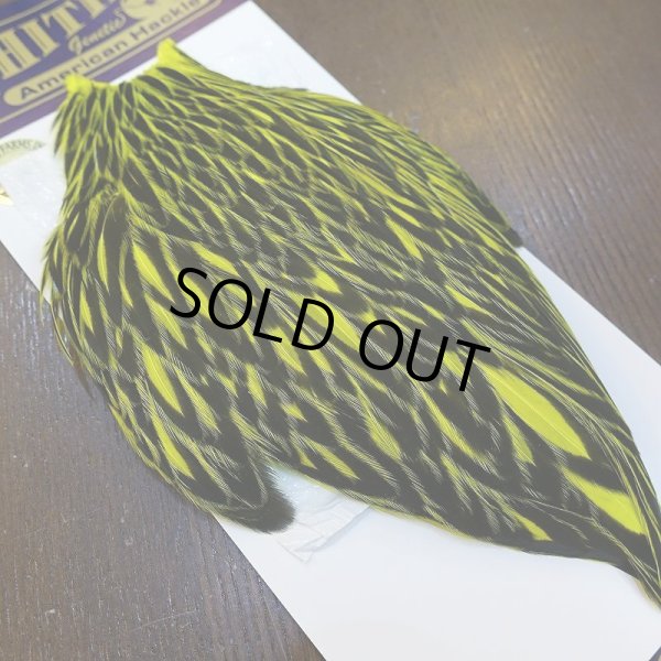 画像3: 【WHITING】American Hen Cape BLW/FL YELLOW CHART (3)