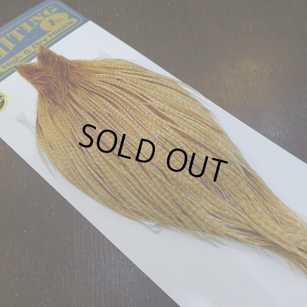 画像2: 【WHITING】High & Dry ROOSTER Cape - Barred Medium Ginger No.1 (2)