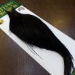 画像2: 【WHITING】Hebert Bronze Grade Cape DyedBlack No.3 (2)