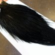 画像2: 【Whiting】ROOSTER CAPE Pro Grade - DYED BLACK No.1 (2)