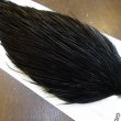 画像4: 【WHITING】Hebert ROOSTER CAPE PRO Grade - NA Black No.2 (4)