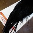 画像5: 【Whiting】ROOSTER CAPE Pro Grade - DYED BLACK No.1 (5)