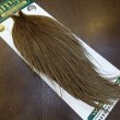 画像2: 【WHITING】Hebert Silver Grade Cape - BROWN GREY DUN (2)