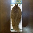 画像1: 【WHITING】Hebert Silver Grade Cape - BROWN GREY DUN (1)