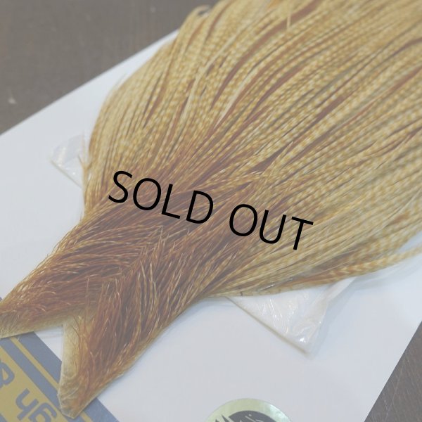 画像3: 【WHITING】High & Dry ROOSTER Cape - Barred Medium Ginger No.1 (3)