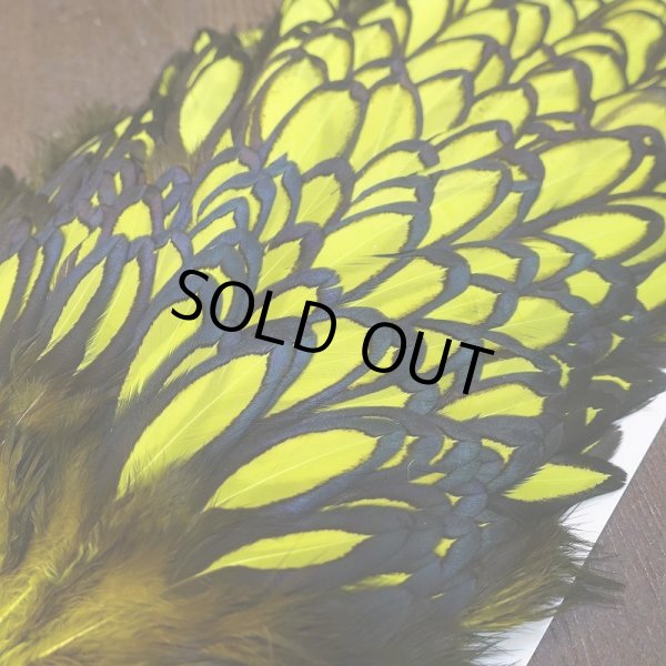 画像2: 【WHITING】American Hen Saddle BLW/FL YELLOW CHART (2)