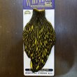 画像1: 【WHITING】American Hen Cape BLW/YELLOW (1)