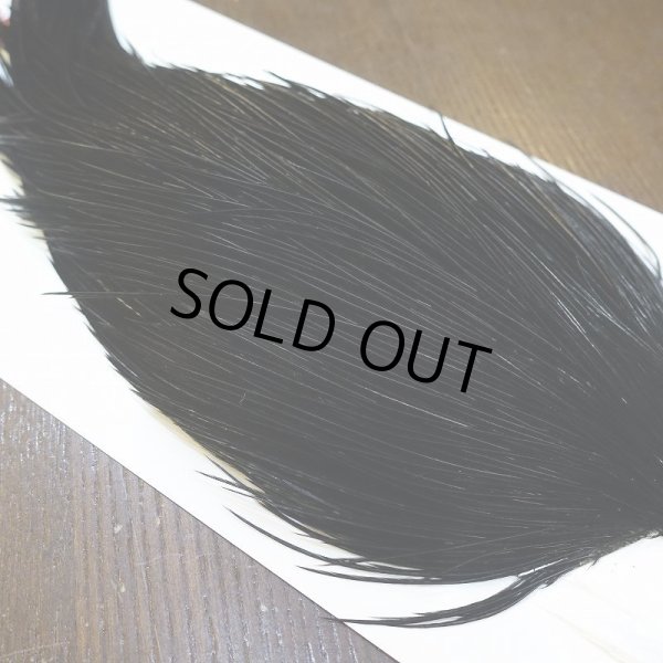 画像4: 【Whiting】ROOSTER CAPE Pro Grade - DYED BLACK No.2 (4)