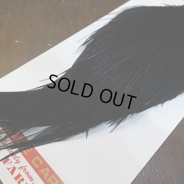 画像5: 【Whiting】ROOSTER CAPE Pro Grade - DYED BLACK No.2 (5)