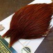 画像3: 【WHITING】Hebert ROOSTER CAPE Bronze Grade - Medium Brown No.1 (3)