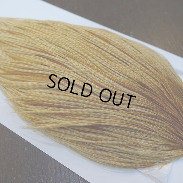 画像4: 【WHITING】High & Dry ROOSTER Cape - Barred Medium Ginger No.1 (4)