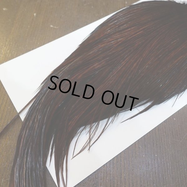 画像5: 【WHITING】High & Dry ROOSTER Cape - Dyed Coachman Brown No.1 (5)