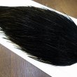 画像4: 【Whiting】ROOSTER CAPE Pro Grade - DYED BLACK No.1 (4)