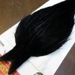 画像3: 【Whiting】ROOSTER CAPE Pro Grade - DYED BLACK No.3 (3)