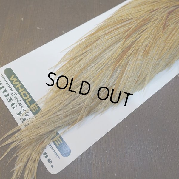 画像5: 【WHITING】Hebert ROOSTER CAPE Pro Grade - BARRED Medium Ginger (5)