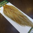 画像2: 【WHITING】Hebert ROOSTER CAPE Pro Grade - BARRED Medium Ginger (2)