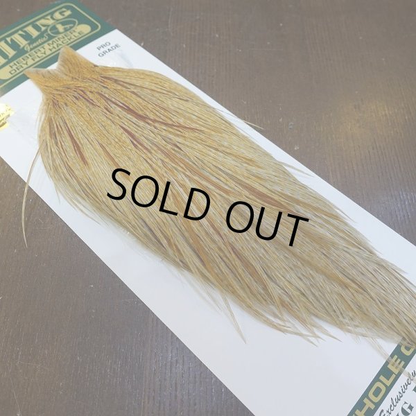 画像2: 【WHITING】Hebert ROOSTER CAPE Pro Grade - BARRED Medium Ginger (2)