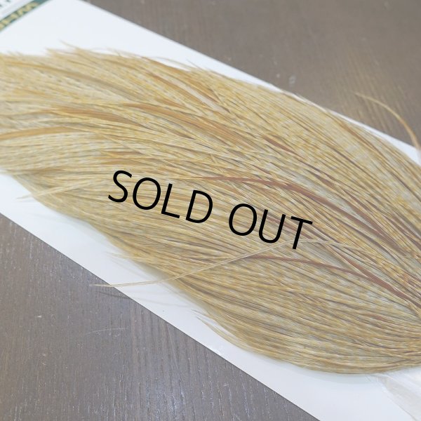 画像4: 【WHITING】Hebert ROOSTER CAPE Pro Grade - BARRED Medium Ginger (4)