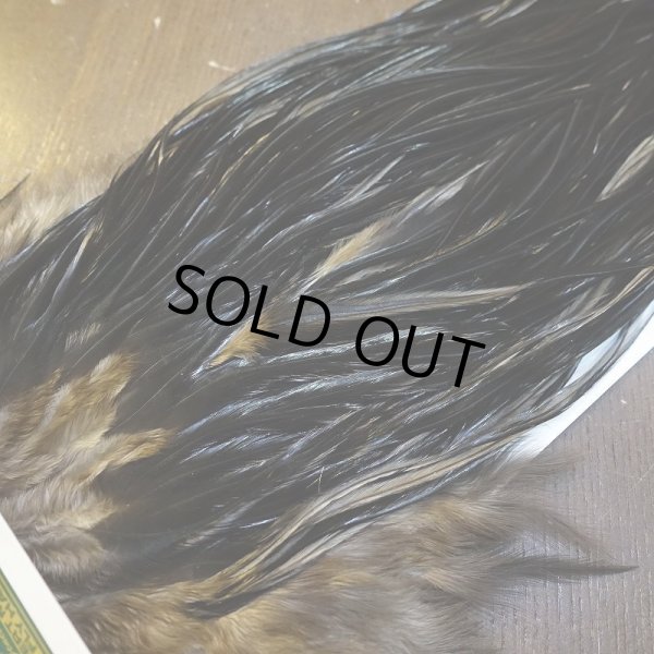 画像3: 【WHITING】Hebert ROOSTER SADDLE PRO Grade - NA Black  #14 No.1 (3)