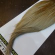 画像5: 【WHITING】Hebert ROOSTER CAPE Pro Grade - Honey Dun (5)