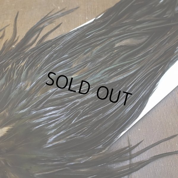 画像3: 【WHITING】Hebert ROOSTER SADDLE PRO Grade - NA Black  #14 No.2 (3)