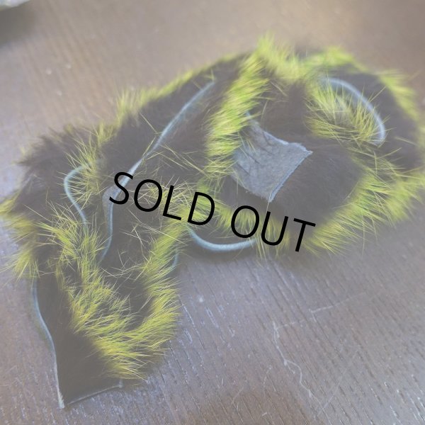 画像2: 【HARELINE】Barred Polychrome Rabbit Strips (2)