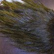 画像4: 【WHITING】Coq de Leon Saddle Bronze Grade - DYED BADGER/OLIVE (4)