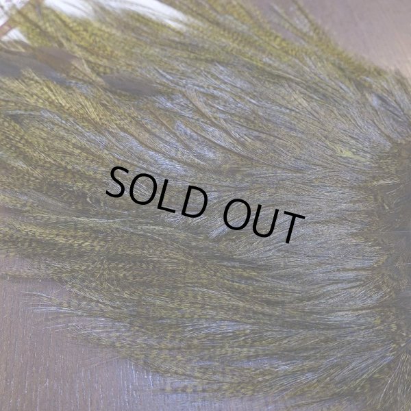 画像4: 【WHITING】Coq de Leon Saddle Bronze Grade - DYED BADGER/OLIVE (4)