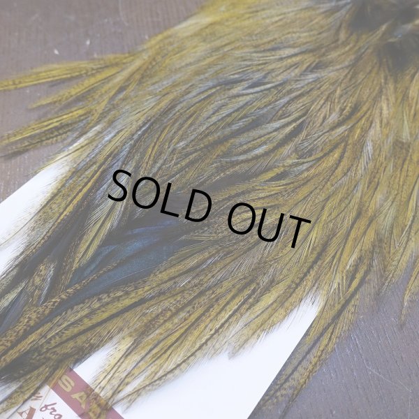 画像5: 【WHITING】Coq de Leon Saddle Bronze Grade - DYED BADGER/GOLDEN OLIVE (5)