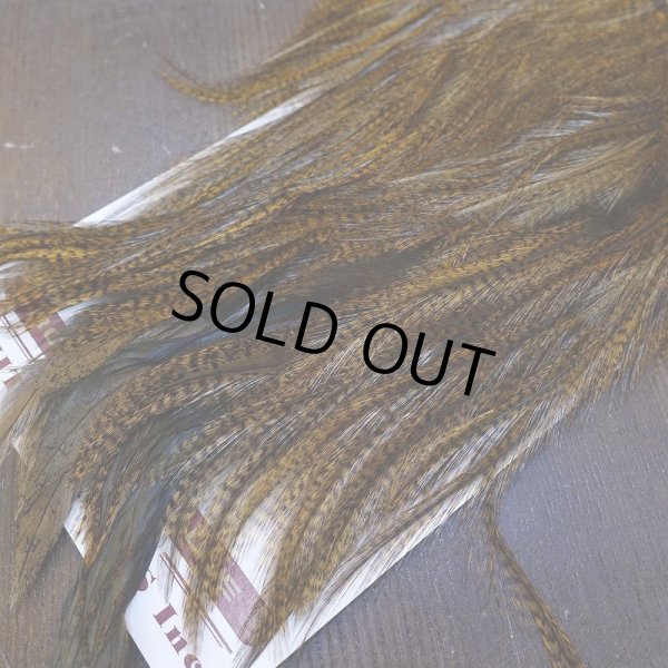 画像5: 【WHITING】Coq de Leon Saddle Bronze Grade - DYED BADGER/MEDIUM GINGER (5)