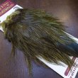 画像2: 【WHITING】Coq de Leon Saddle Bronze Grade - DYED BADGER/OLIVE (2)