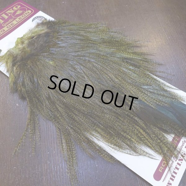 画像2: 【WHITING】Coq de Leon Saddle Bronze Grade - DYED BADGER/OLIVE (2)