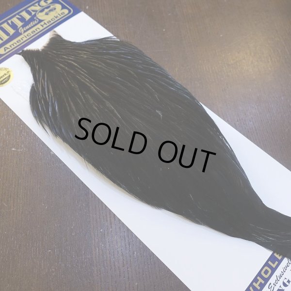 画像2: 【WHITING】American Rooster Cape - BLACK (2)