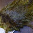 画像3: 【WHITING】Coq de Leon Saddle Bronze Grade - DYED BADGER/OLIVE (3)