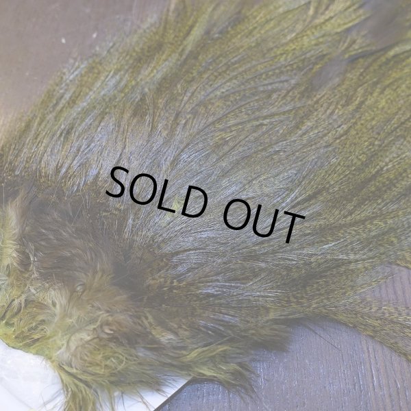 画像3: 【WHITING】Coq de Leon Saddle Bronze Grade - DYED BADGER/OLIVE (3)