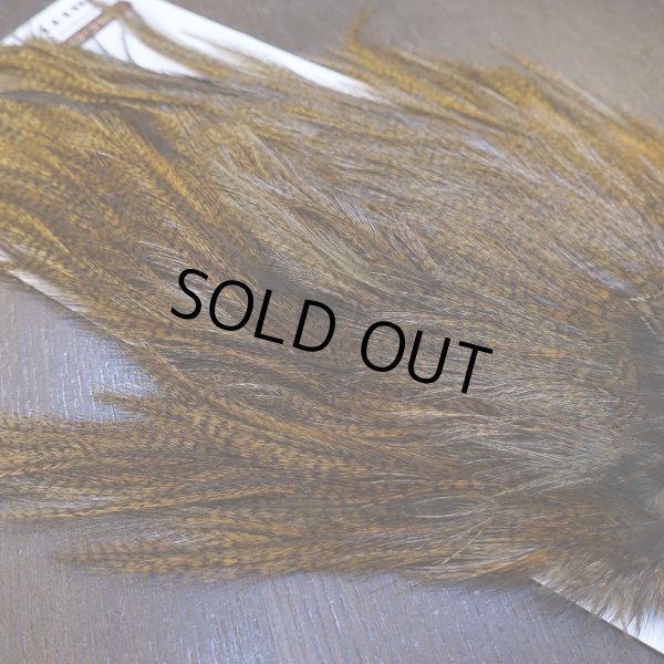 画像4: 【WHITING】Coq de Leon Saddle Bronze Grade - DYED BADGER/MEDIUM GINGER (4)