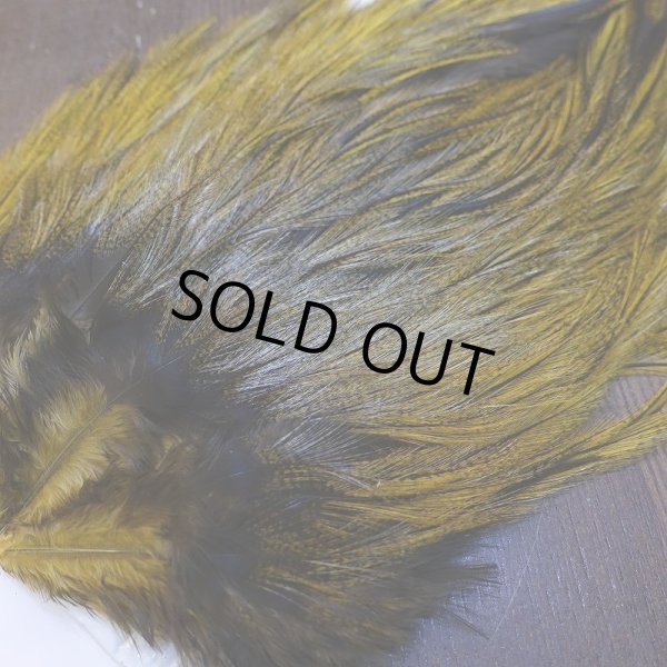 画像3: 【WHITING】Coq de Leon Saddle Bronze Grade - DYED BADGER/GOLDEN OLIVE (3)